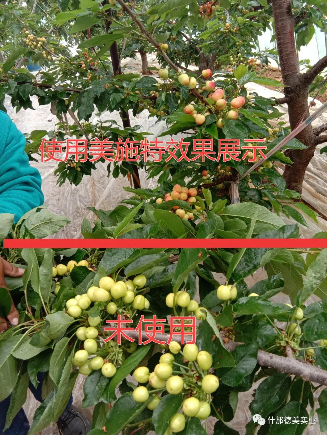 1-21012210024E58.jpg 1-21012210024E58.jpg